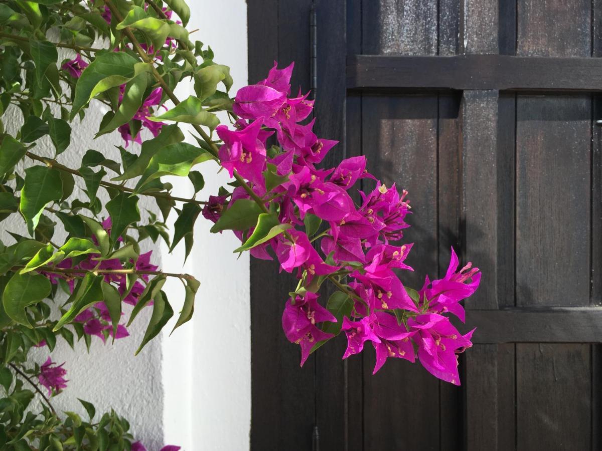 Villa De La Luz Luxury Guesthouse El Portil Exterior photo